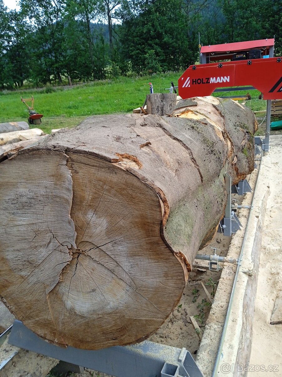 Fošny dub,buk,javor 60 mm. - 6