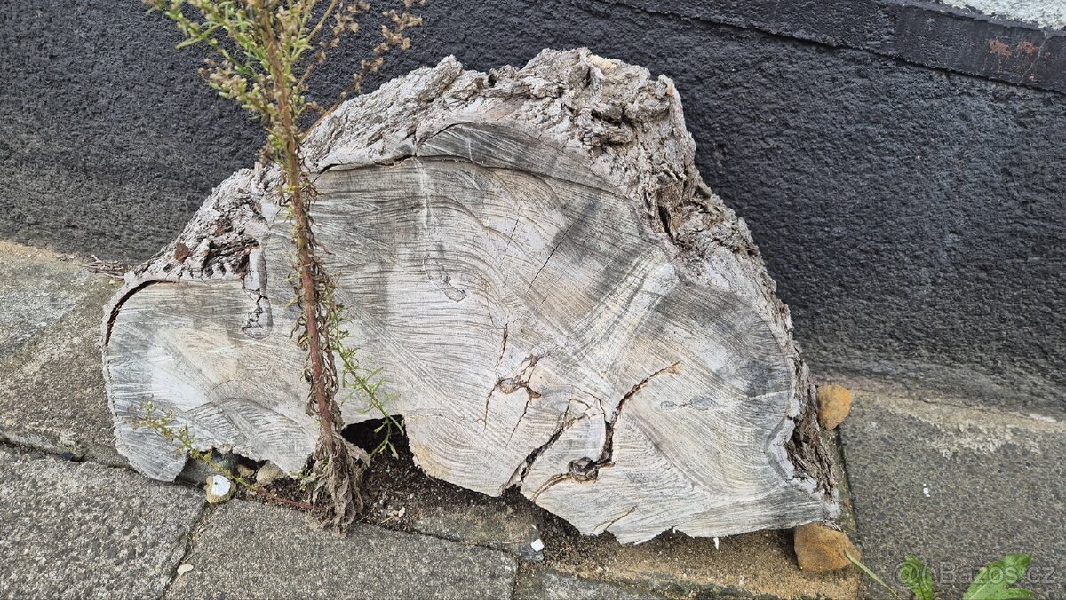 Špalky na prodej - 6