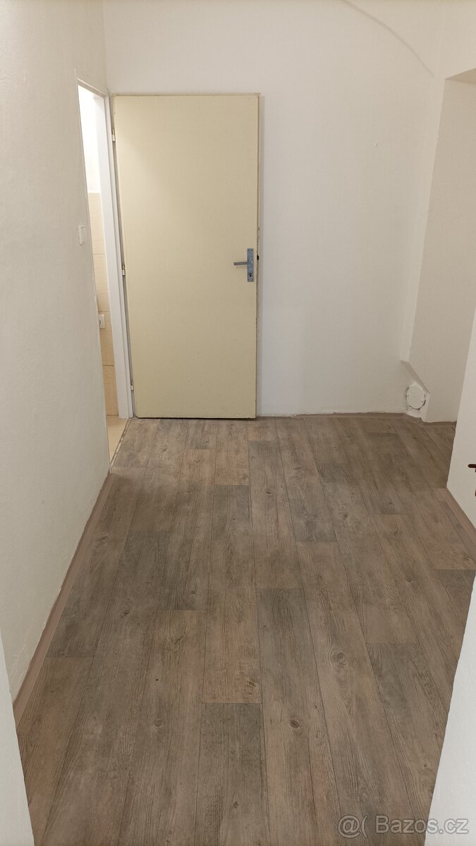 Pronajmu nebytové prostory - 6