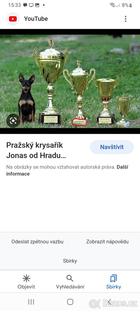 Pražsky krysařík - 6