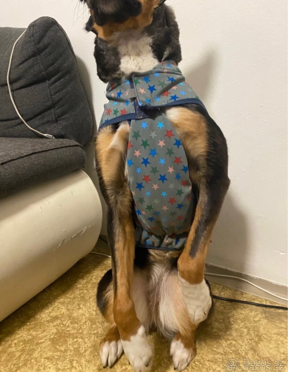 Obleček pro psa - 6