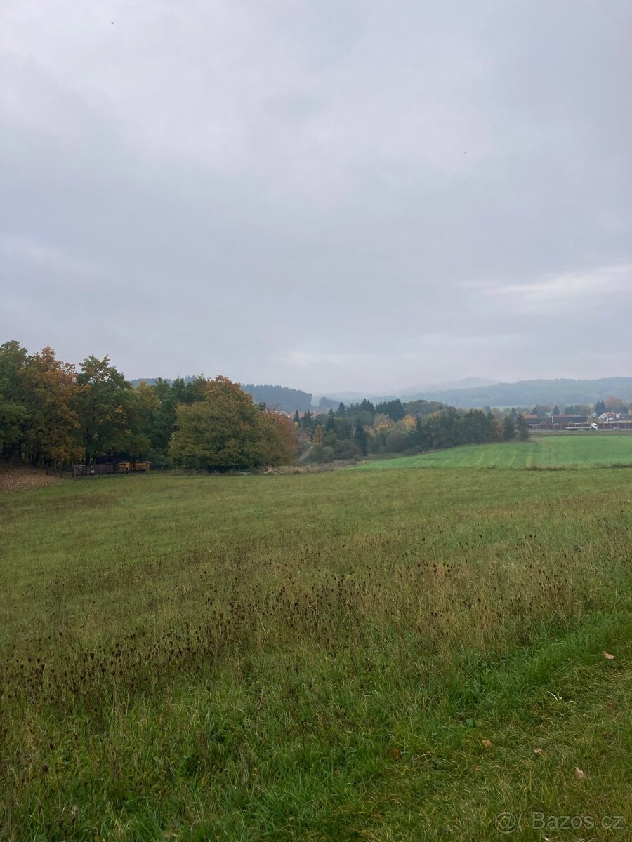 Pronájem pozemku v Semici u písku - 6