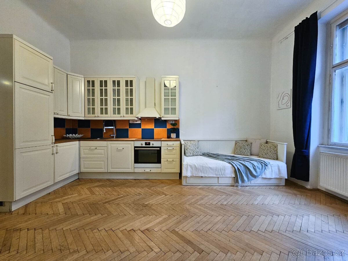 Pěkný byt 3+kk na Žižkově k pronájmu - 6