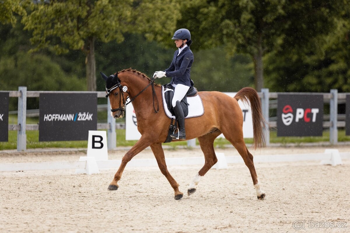 Poradenství v nákupu a prodeji na míru - 6