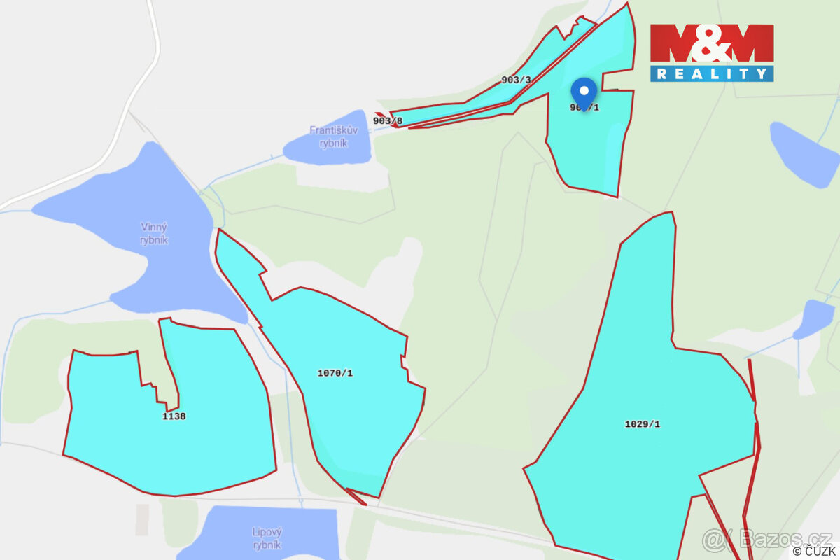 Prodej pole, 349175 m², Tisová - 6