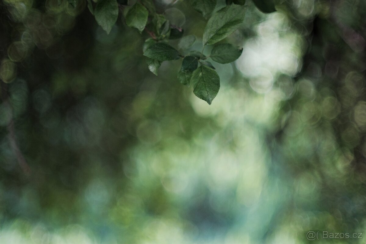 Minolta MC Rokkor-PG 50mm f/1.4 - (Minolta MD) - 6