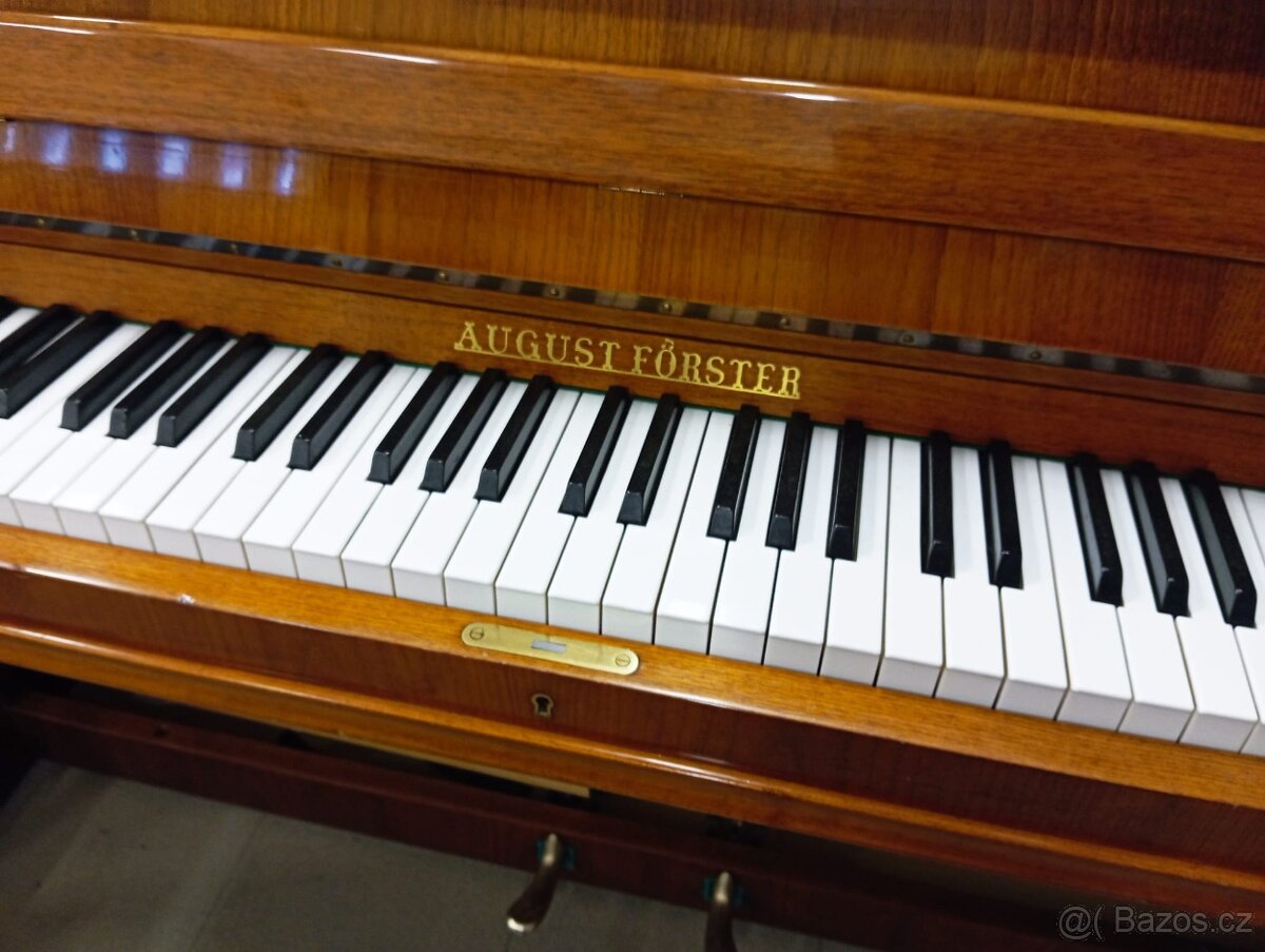 August Forster-Dovoz zdarma i na Štědrý 24.12. - 6