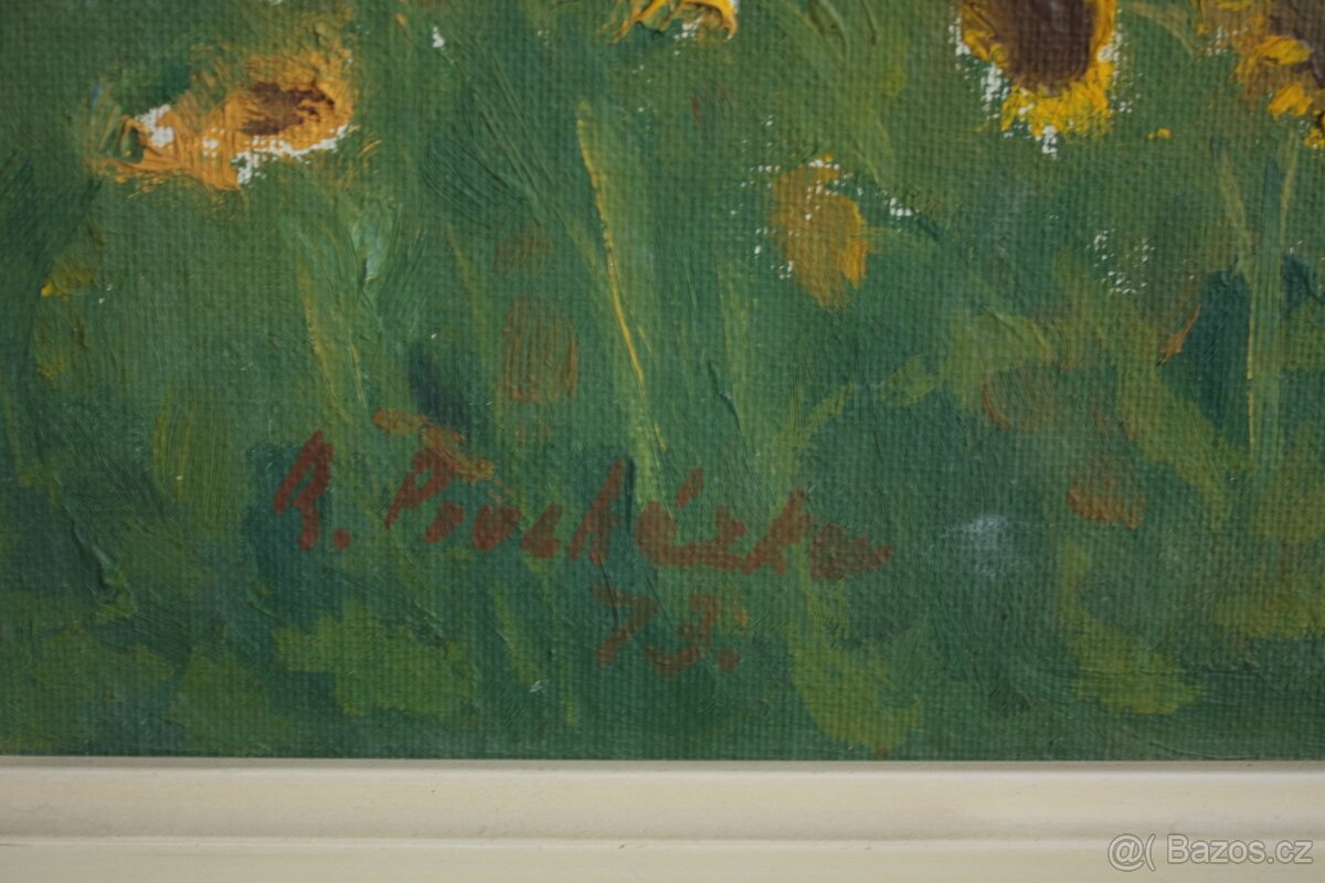 R.Procházka - Slunečnicové pole 73 - 6