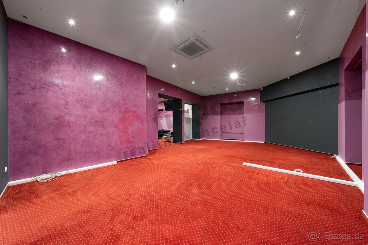 Pronájem komerčních prostor 230m2 Plzeň - 6