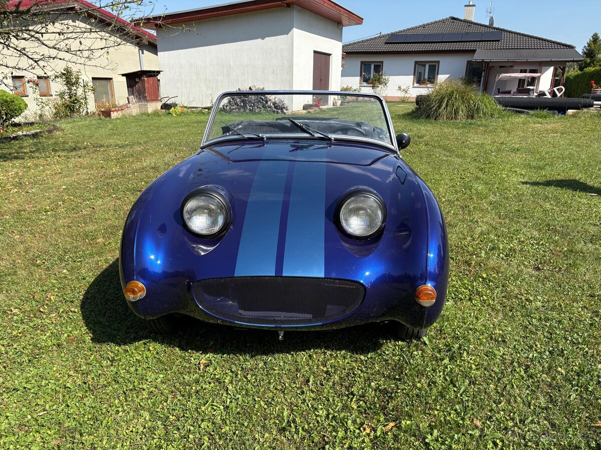Austin healey froggy - 6