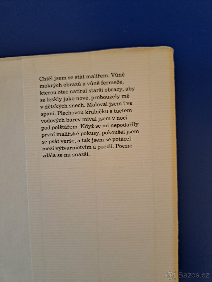 Kniha ŠEL MALÍŘ CHUDĚ DO SVĚTA - 6