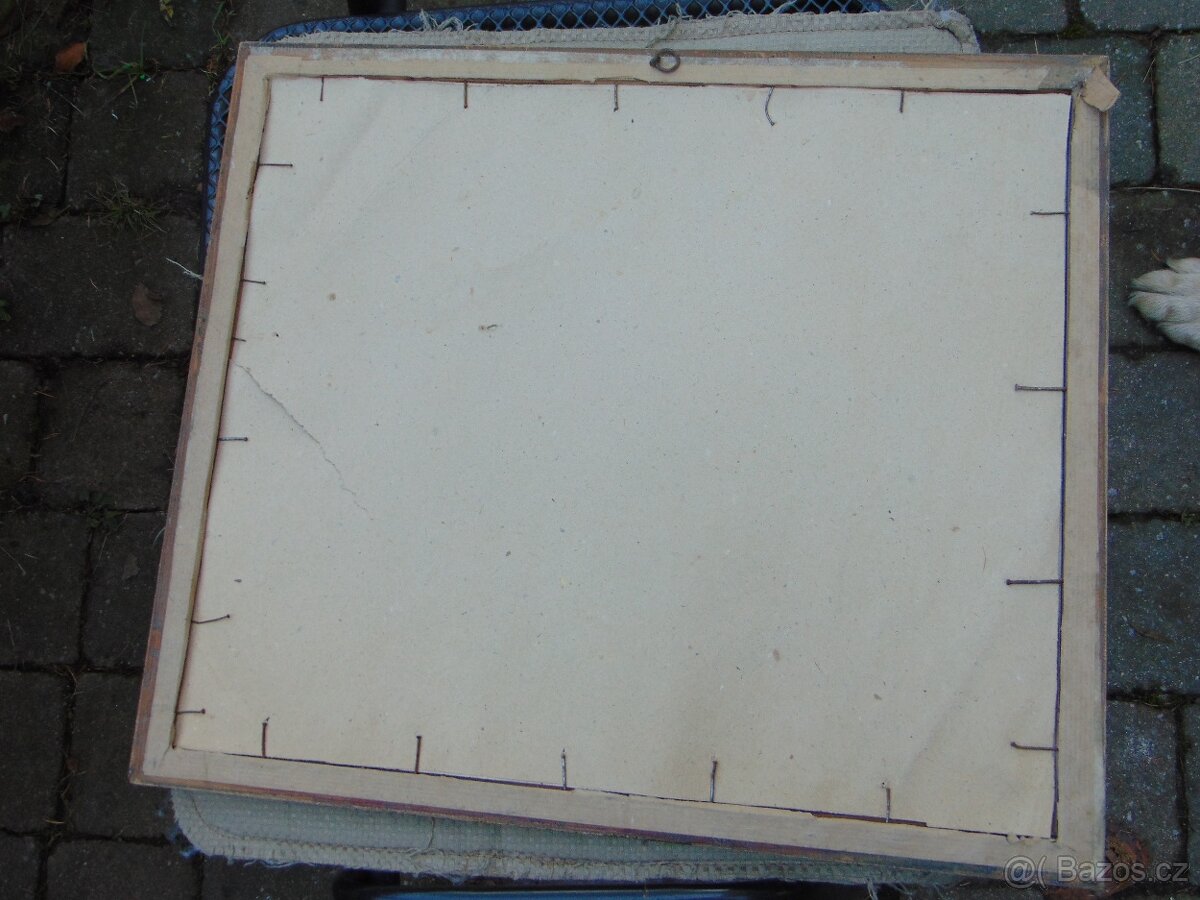 Obraz grafika V. Pukl - 6