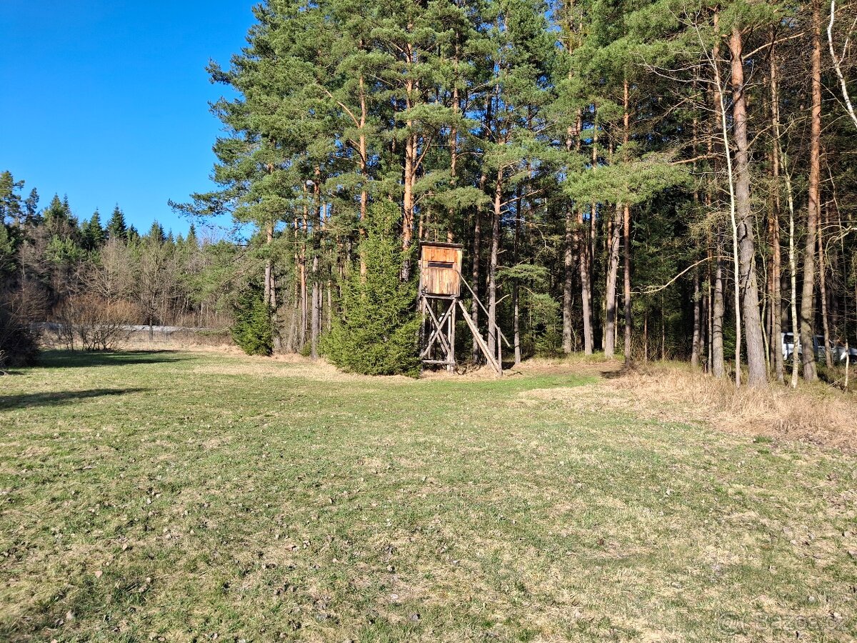 4233 m2 Udržovaný les a louka u JÍLOVIC - 6