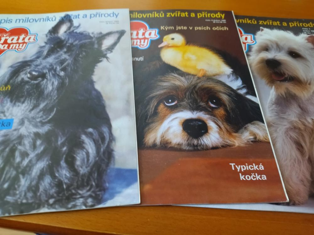 Naše dítě, Škola pro snoubence a novomanžele, Zvířata a my - 6