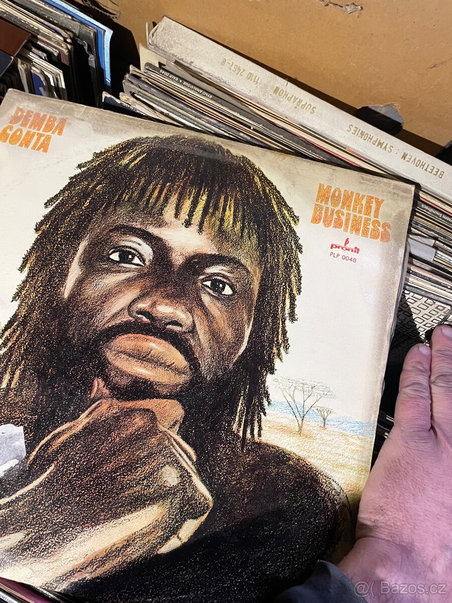 Velké množství LP desek - 6