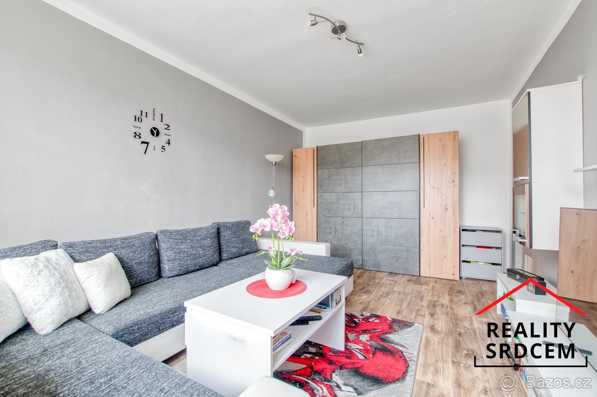 Prodej družs. bytu 1+1/35m2 ul. Slovenská, Karviná - Hranice - 6