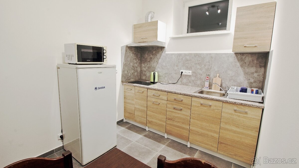 Ubytování Otsar v Plzni vhodné i pro firmy - 6