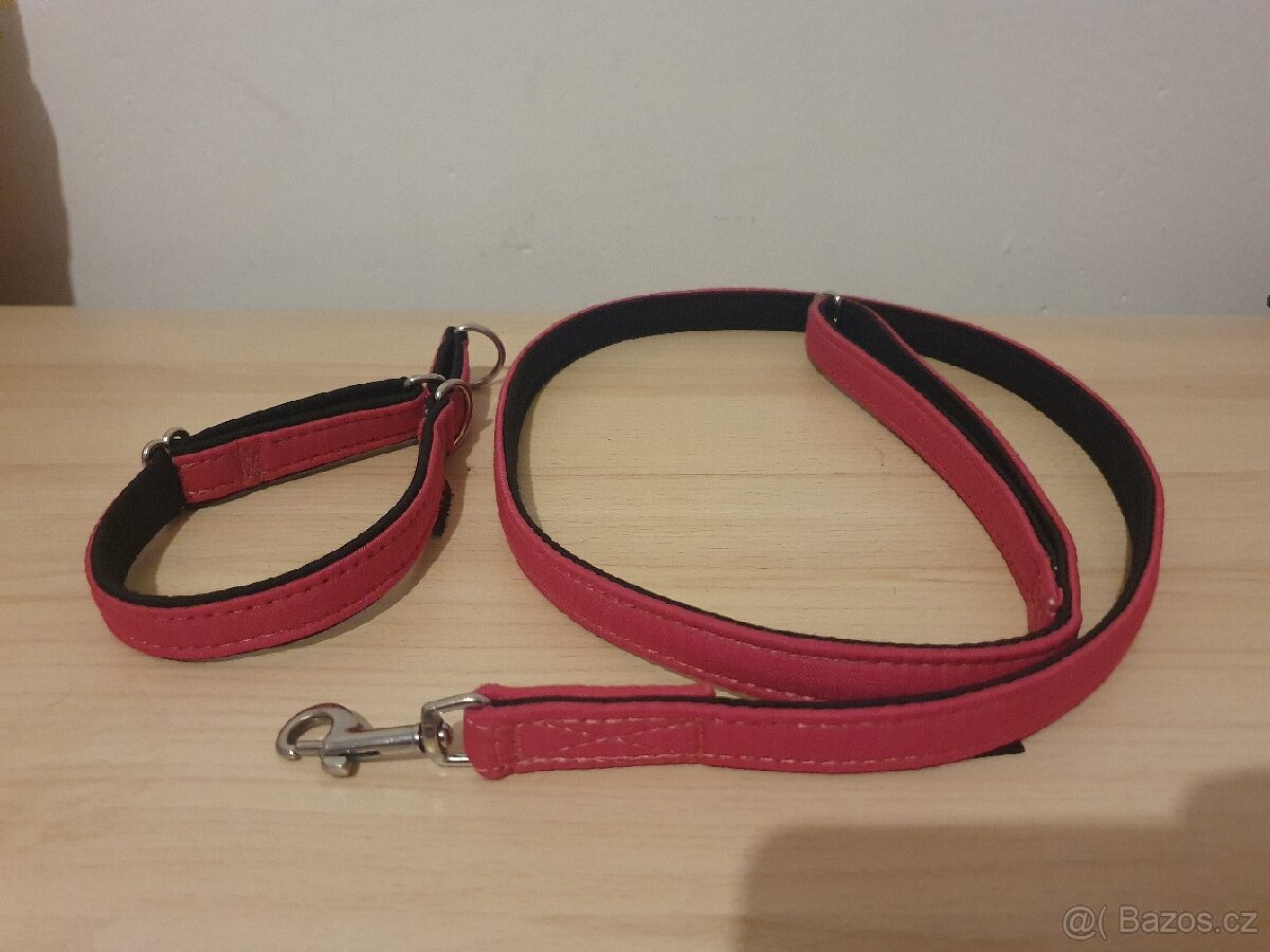 Obojek a vodítko Mutt&Go - 6