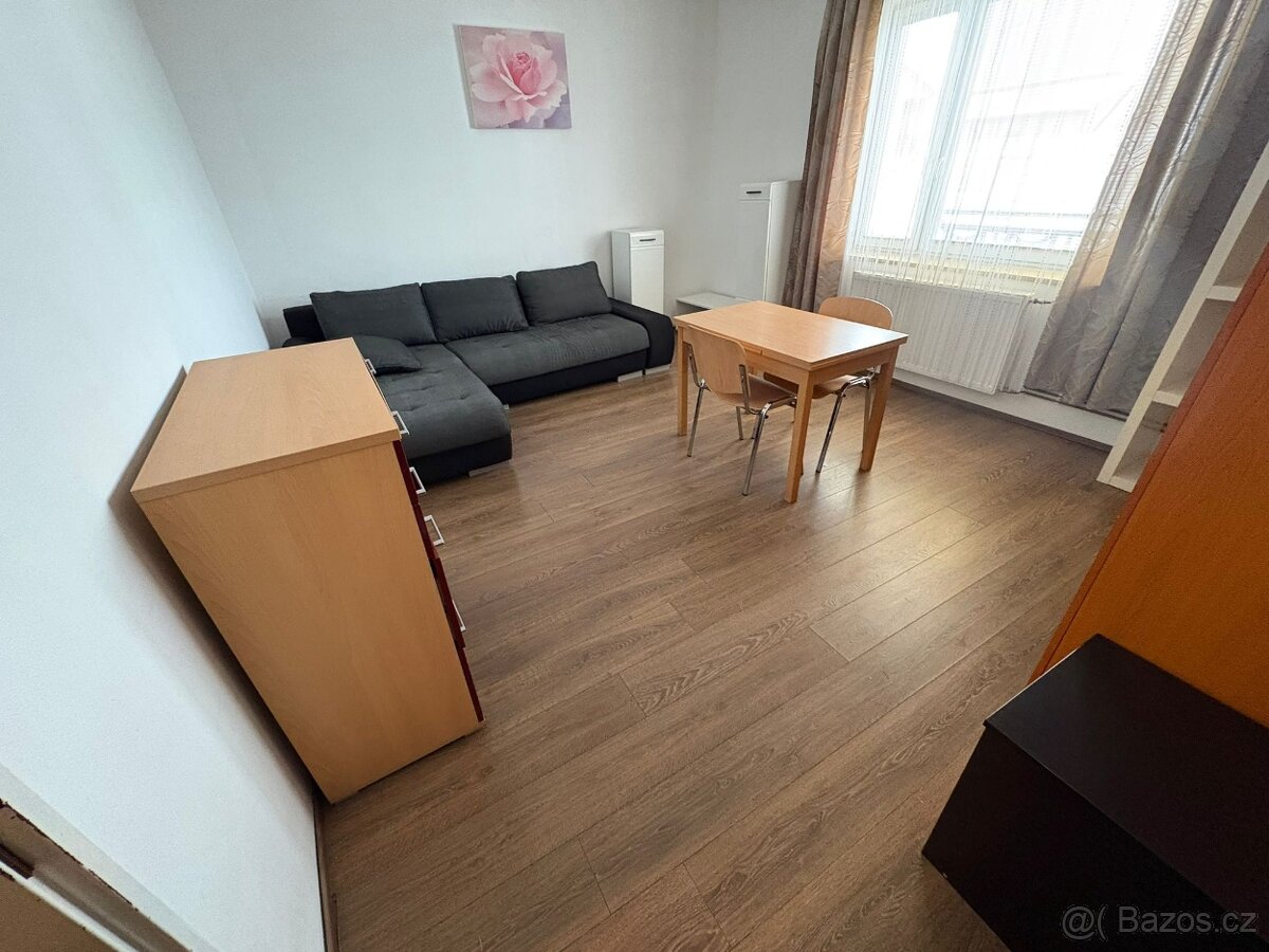 Pronájem 1 kk - 6