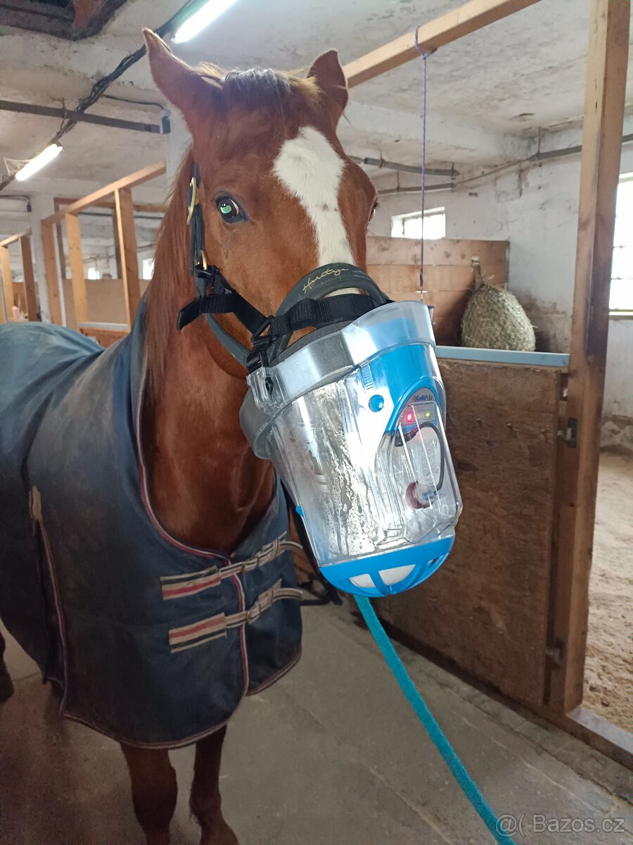 Ustájení koní - inhalační solná terapie koní - 6