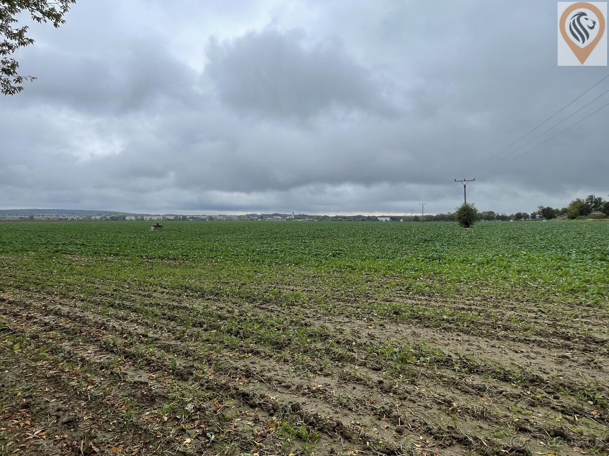 Prodej orné půdy o rozloze 7 001m2 - 6