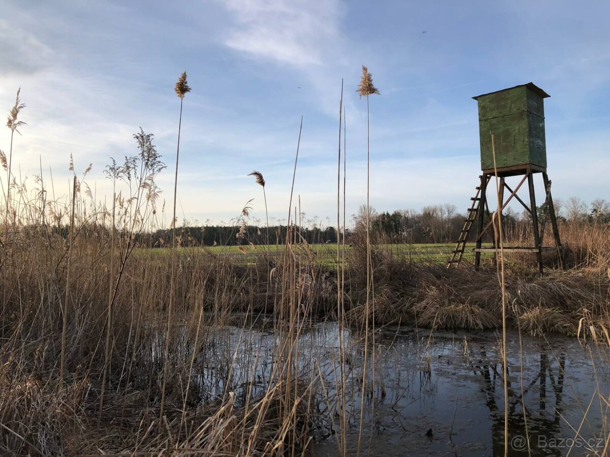 Nová Ponuka, 45 172 m² pri Levároch - 6