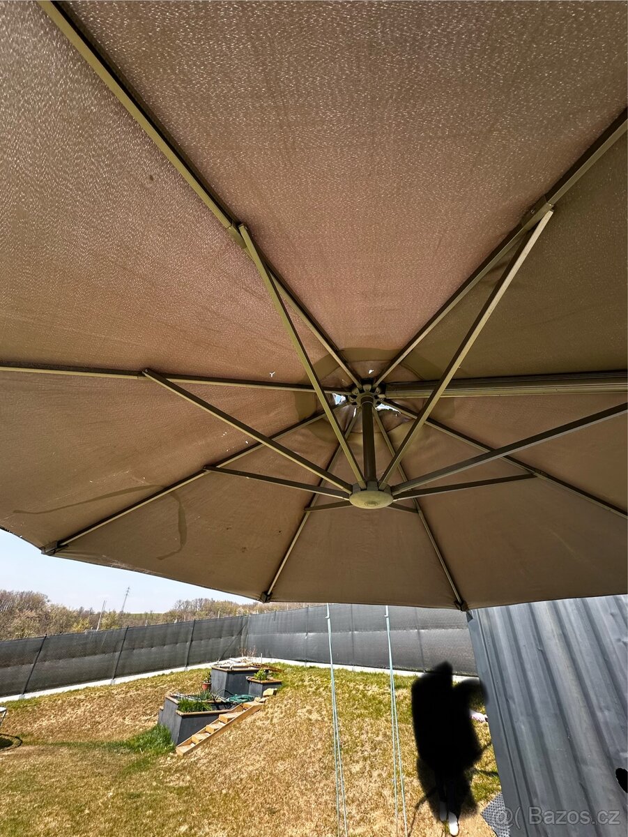 Slunečník - 6
