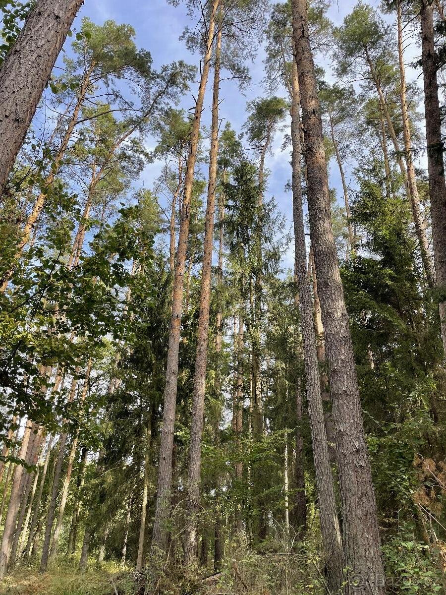 Prodám pozemky v k.ú. Drahov - 6