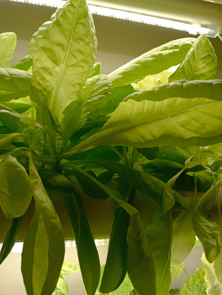 Aquaponický systém set - Hydroponic Grow Kit - 6