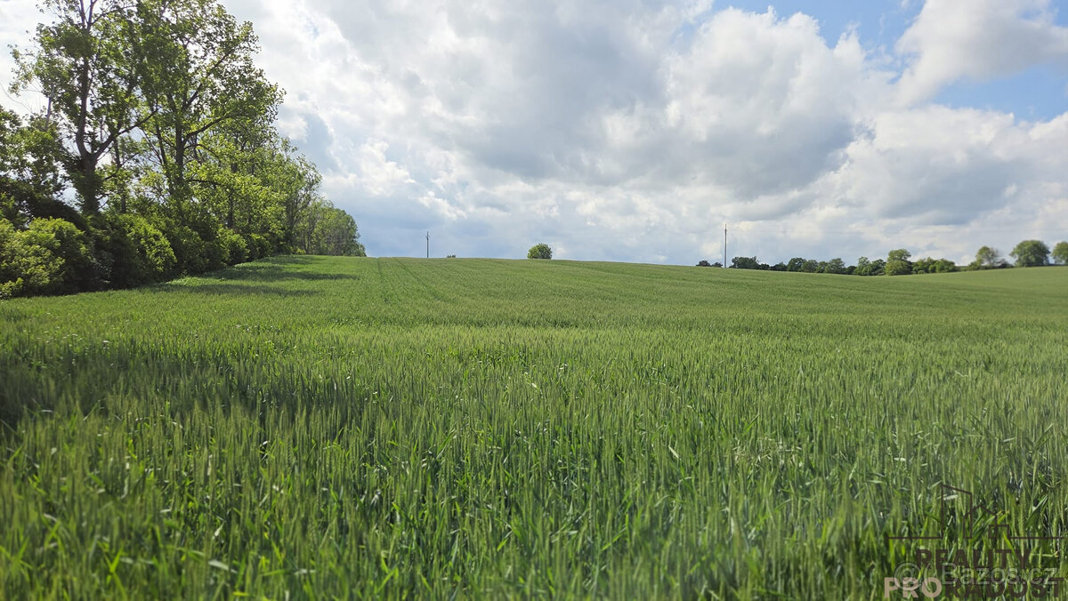 Prodej pozemků 2649 m2 v Kyjově - Nětčicích - 6