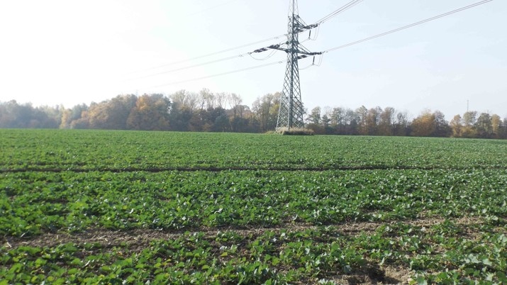 Orná půda O.- Bartovice, cca 25.000m2, rovina, 59 Kč/m2. - 6