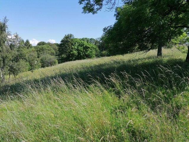 Investiční příležitost u hranic s Německem - 6