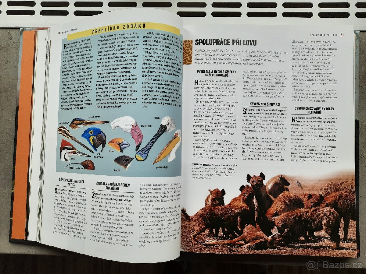 Prodám knihu 1000 DIVŮ PŘÍRODY. - 6