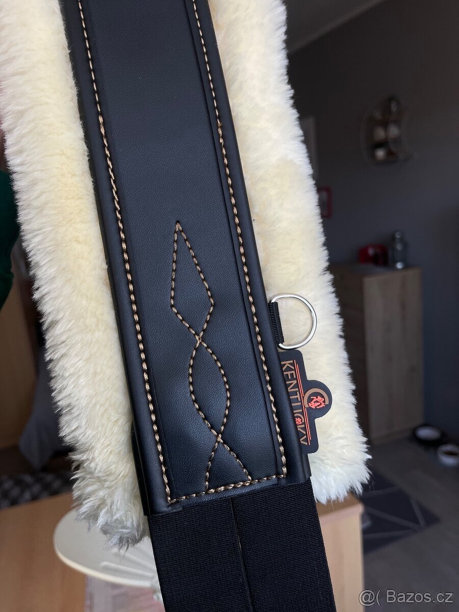 Kentucky podbřišník - 6