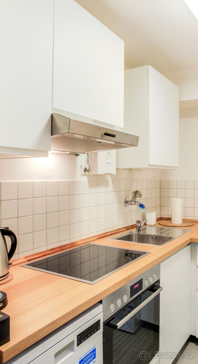 Třípokojový byt, kuchyň a balkon k pronájmu - 6