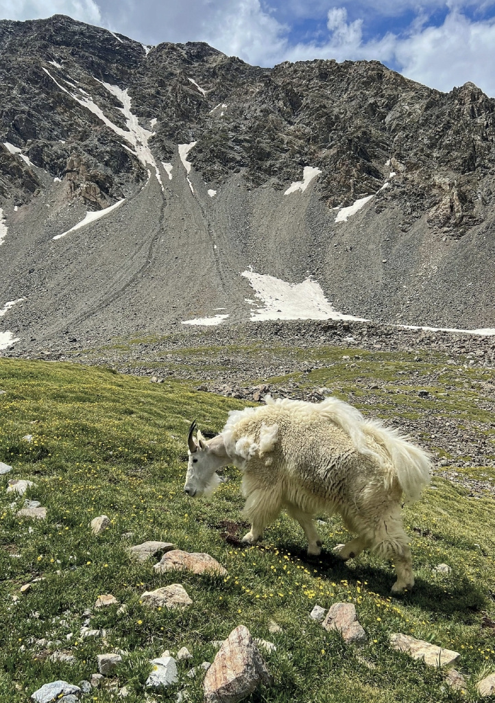 TEREZA KOPECKÁ: SNÍM V DIVOČINĚ (CONTINENTAL DIVIDE TRAIL) - 6