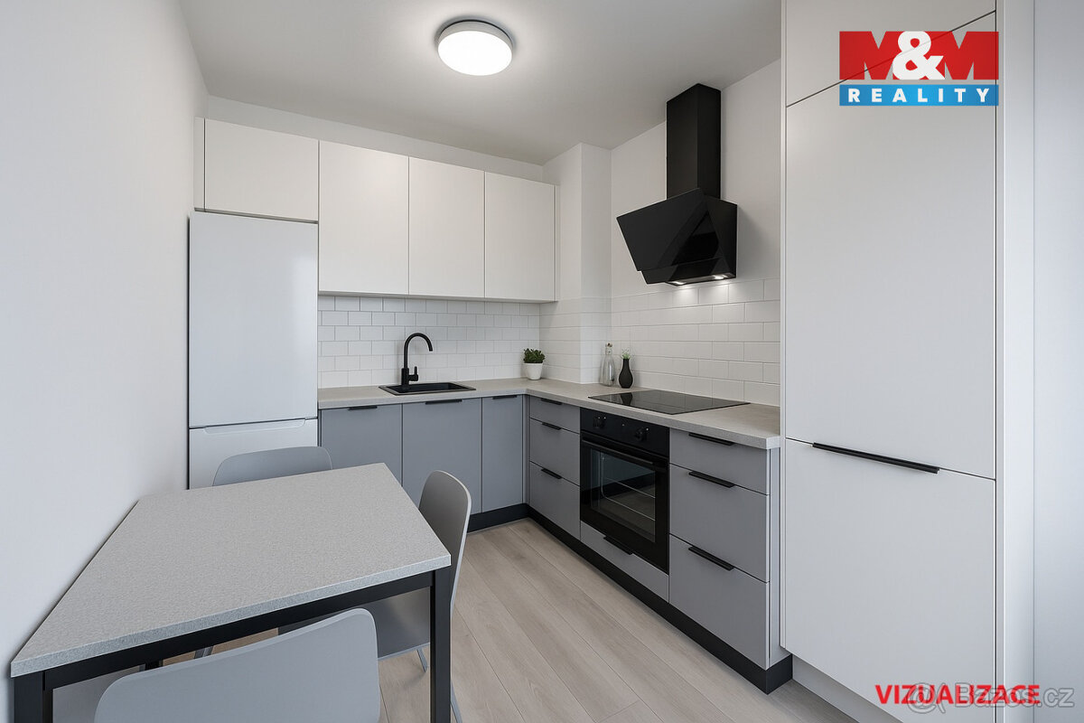 Prodej bytu 2+1, 46 m², Teplice, ul. Alejní - 6