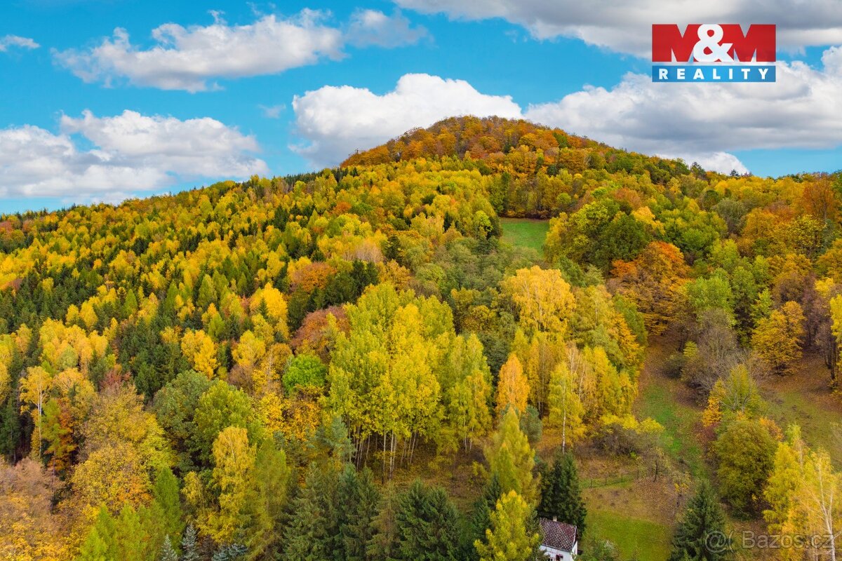 Prodej lesa, 3004 m², Skalice u České Lípy - 6