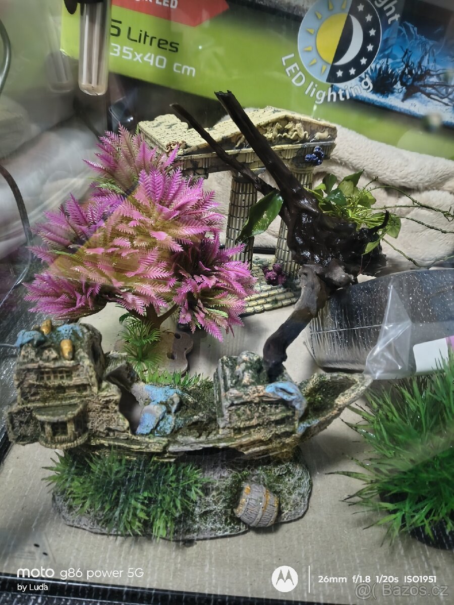 Akvárium plus dekorace, filtrace a vše - 6