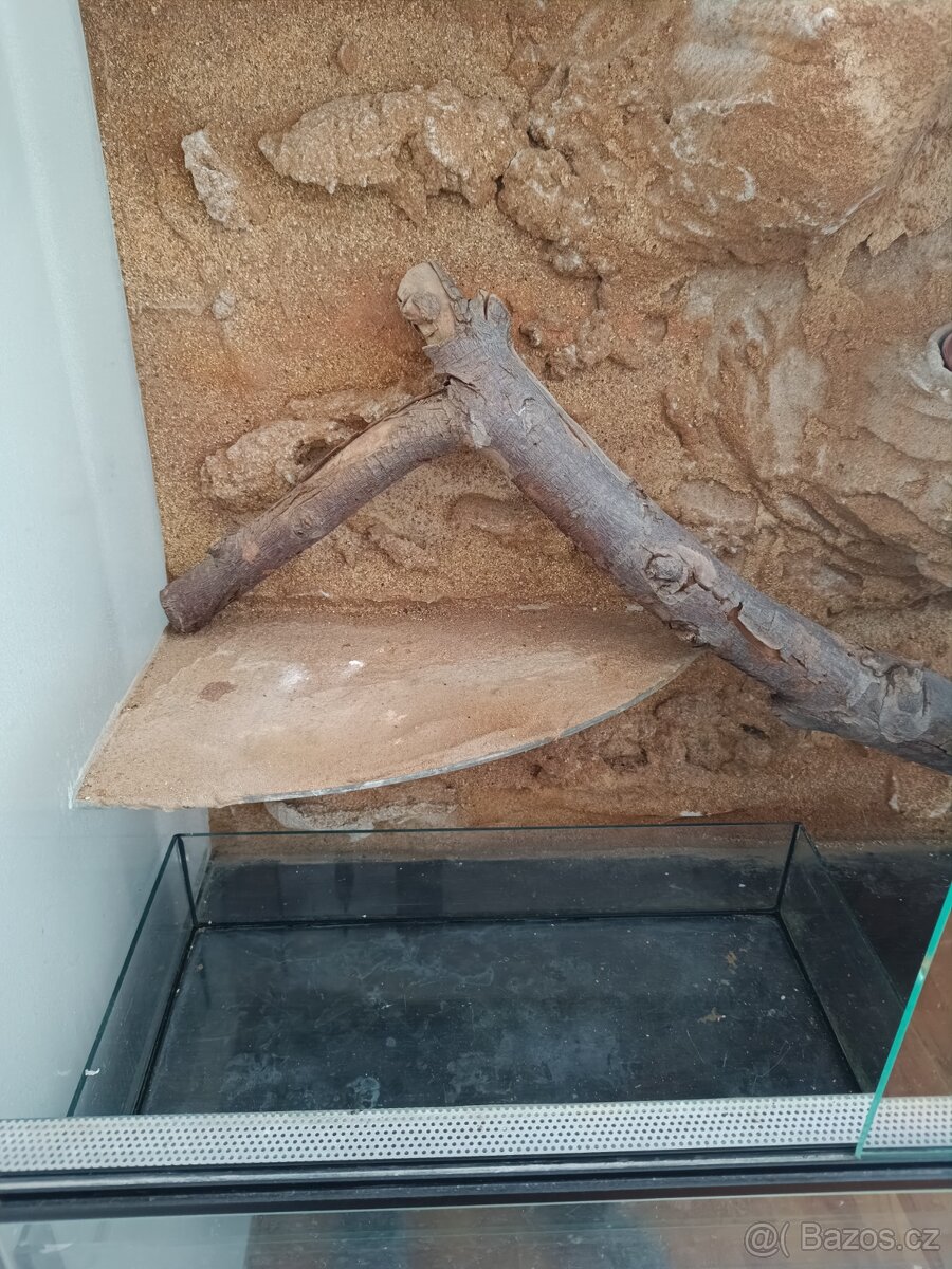 Prodám terárium - 6