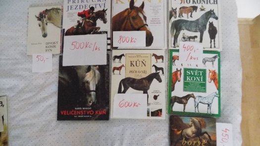 knihy o koních - 6