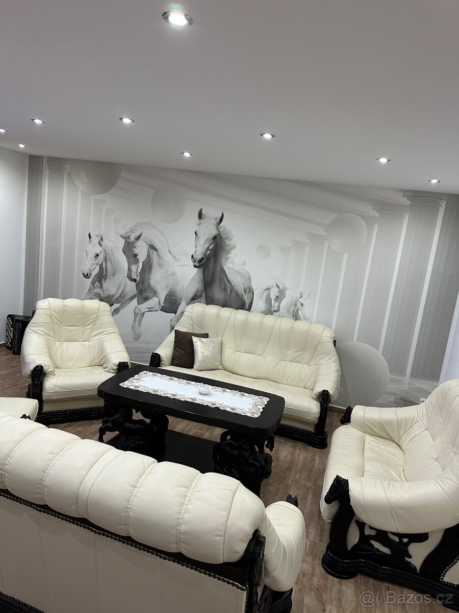 SLEVA-Luxusní-akční cena-komplet, v záruce - 6