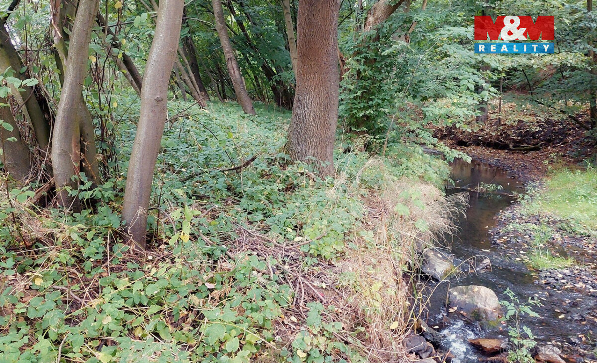 Prodej louky, 682 m², Bystřice, ul. Pod homolí - 6