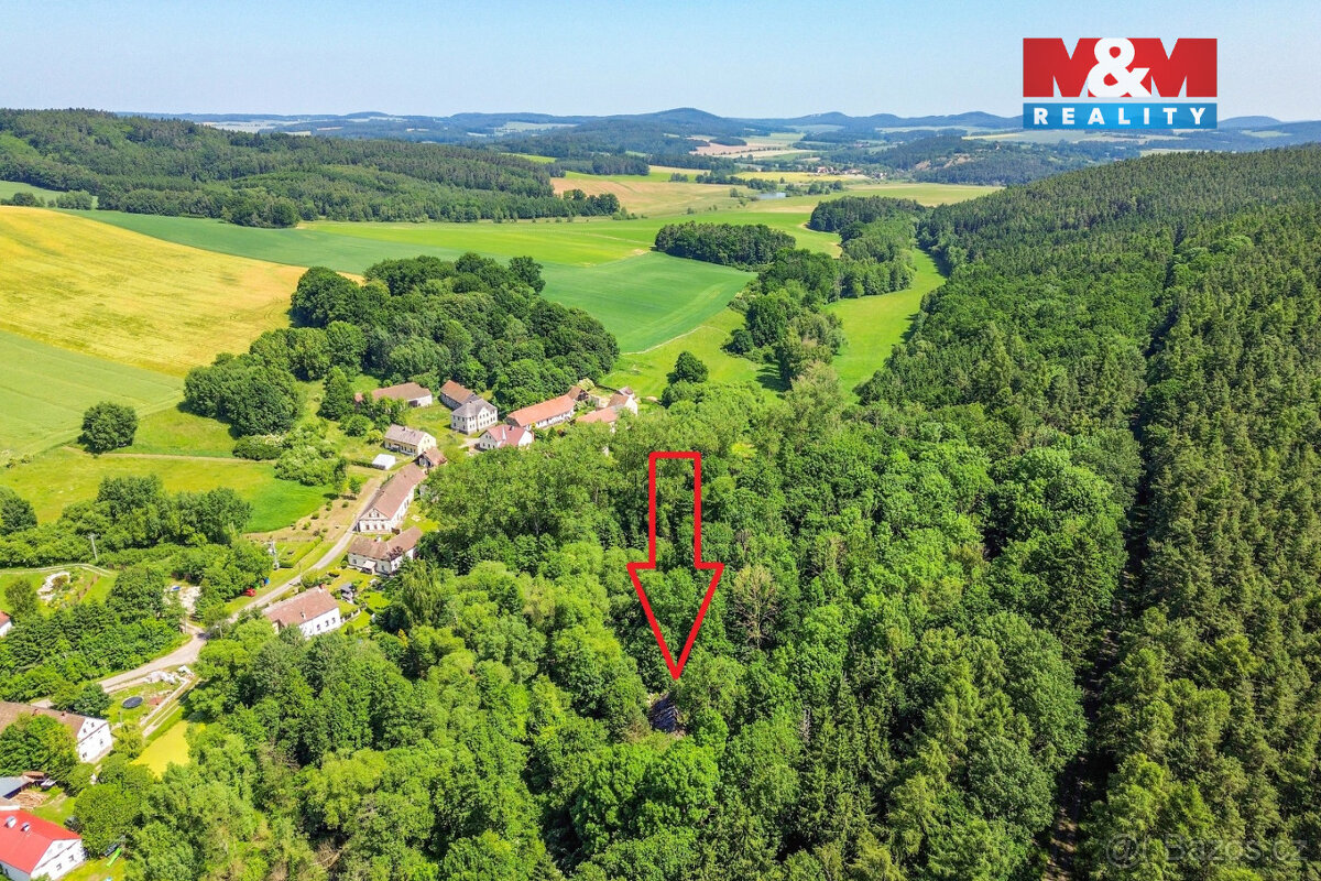 Prodej stodoly 200 m² s lesem 4440 m², Hostouň - Slatina - 6