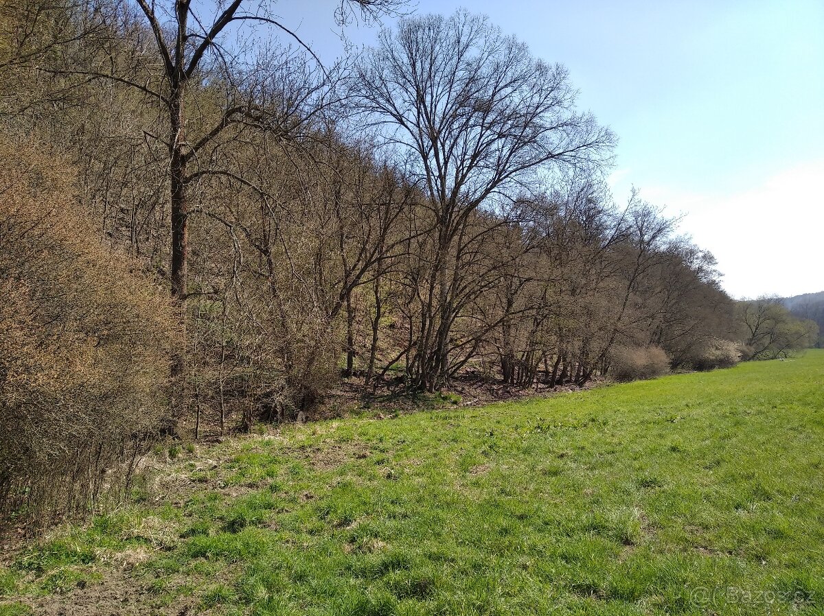 Pronájem zahrady Praha západ - 6