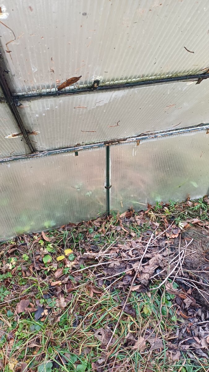 pařenište -skleník - 6