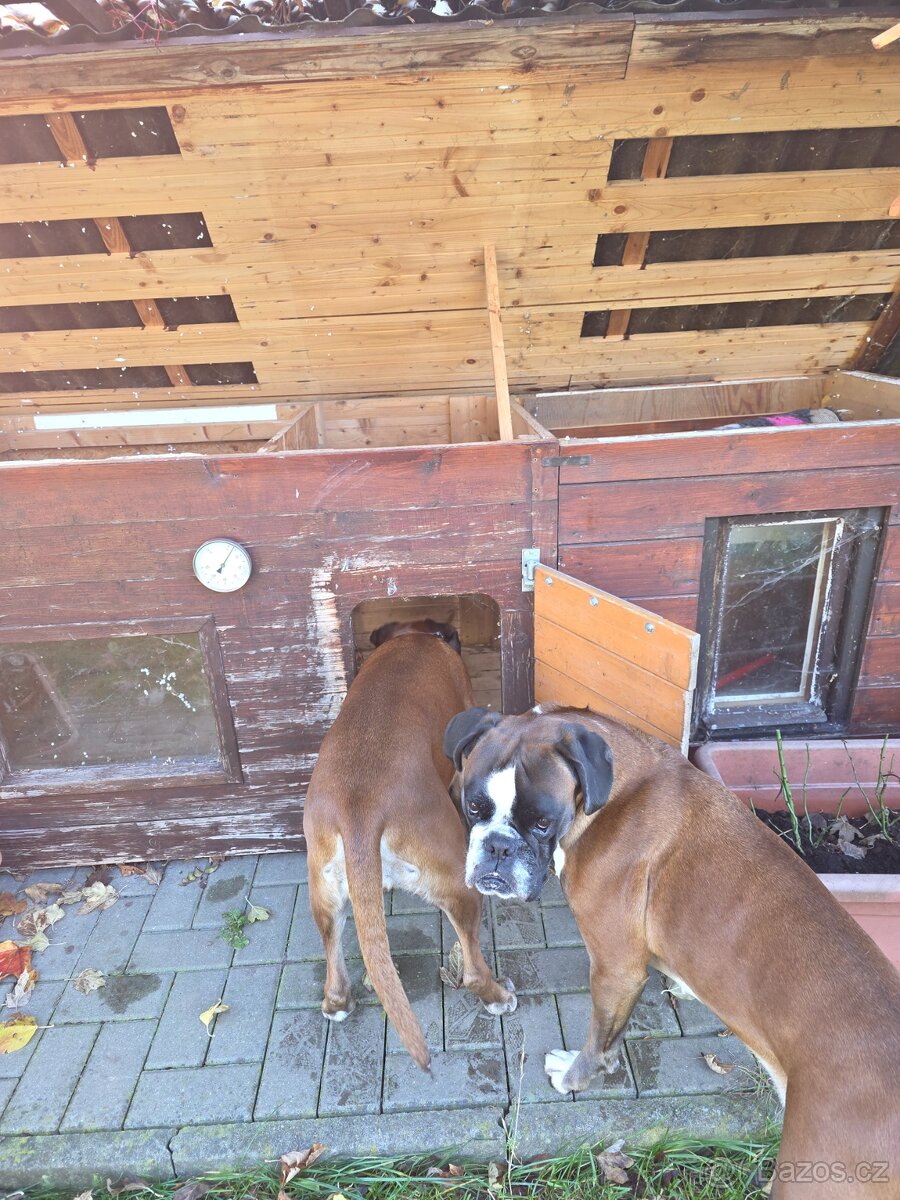 Psí bouda zateplená - 6