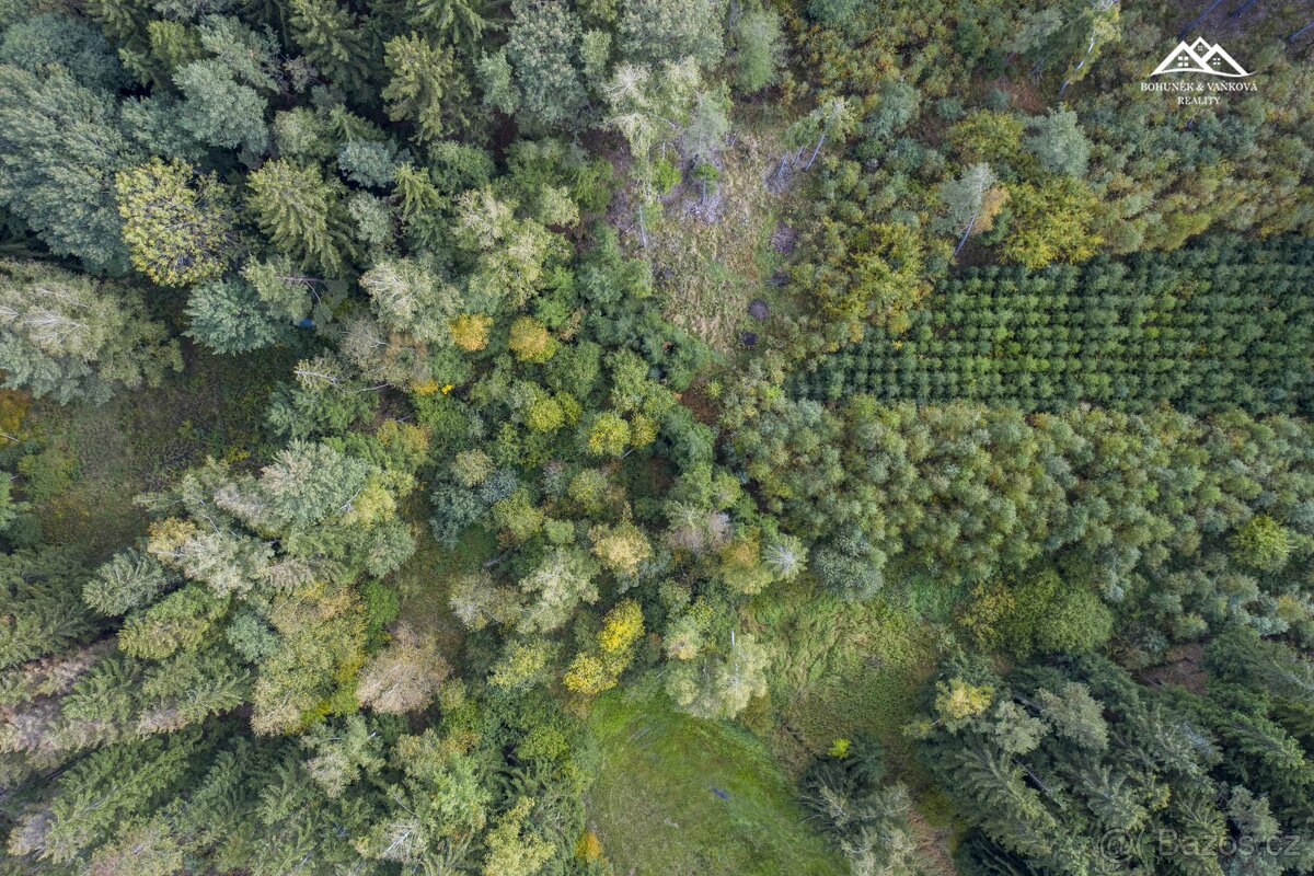 Prodej lesa, 2232 m2, Všeradov - 6