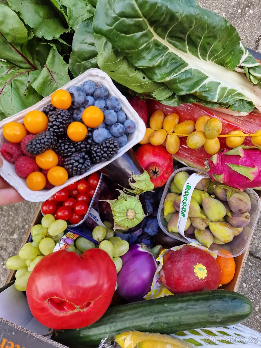 Luxusní prodejní stánek - 6