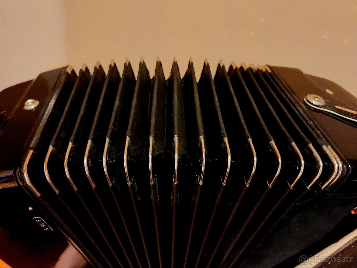 Royal Standard Selecta 120 basov cassotto - 6